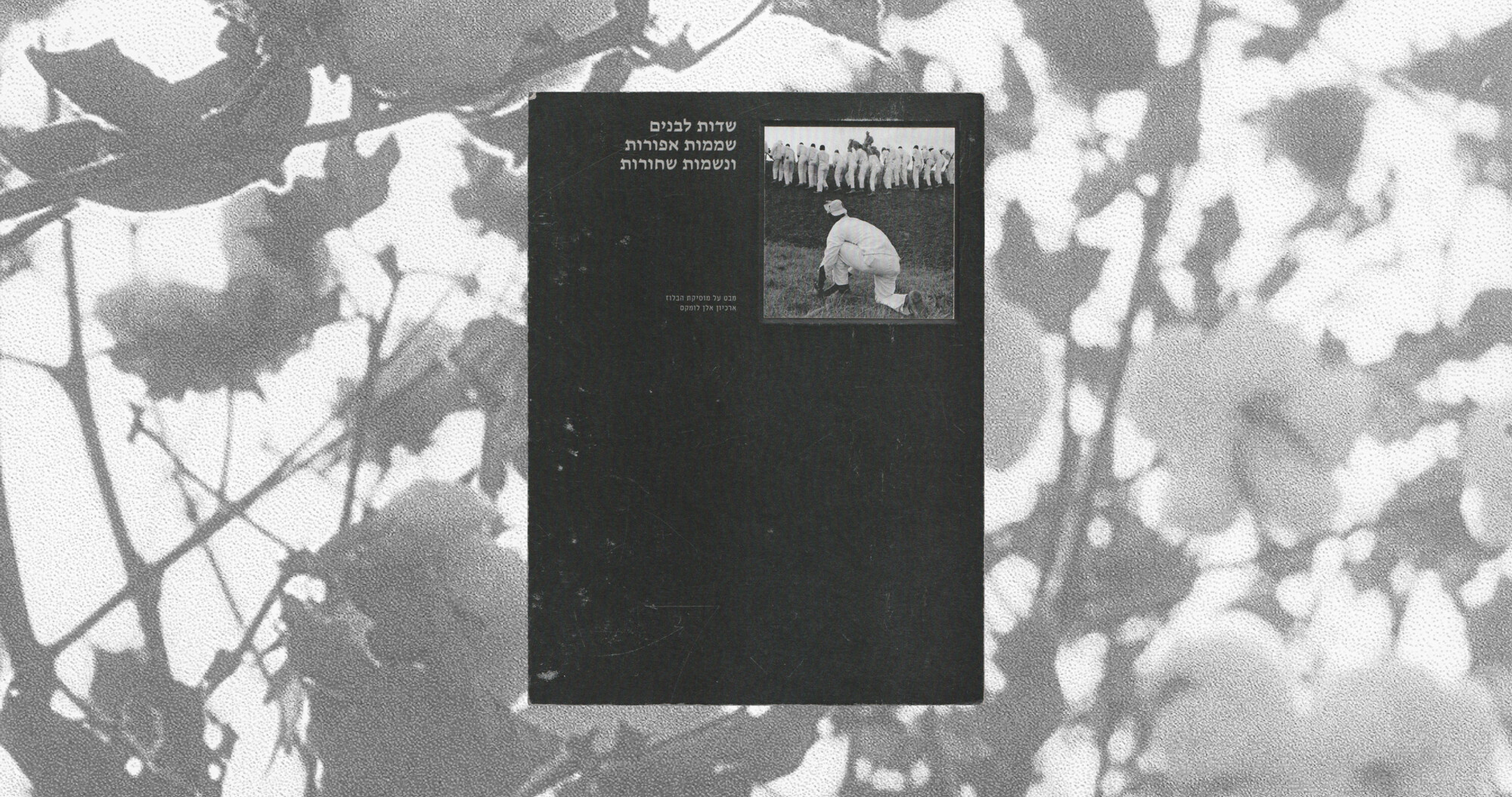 Blues Book
