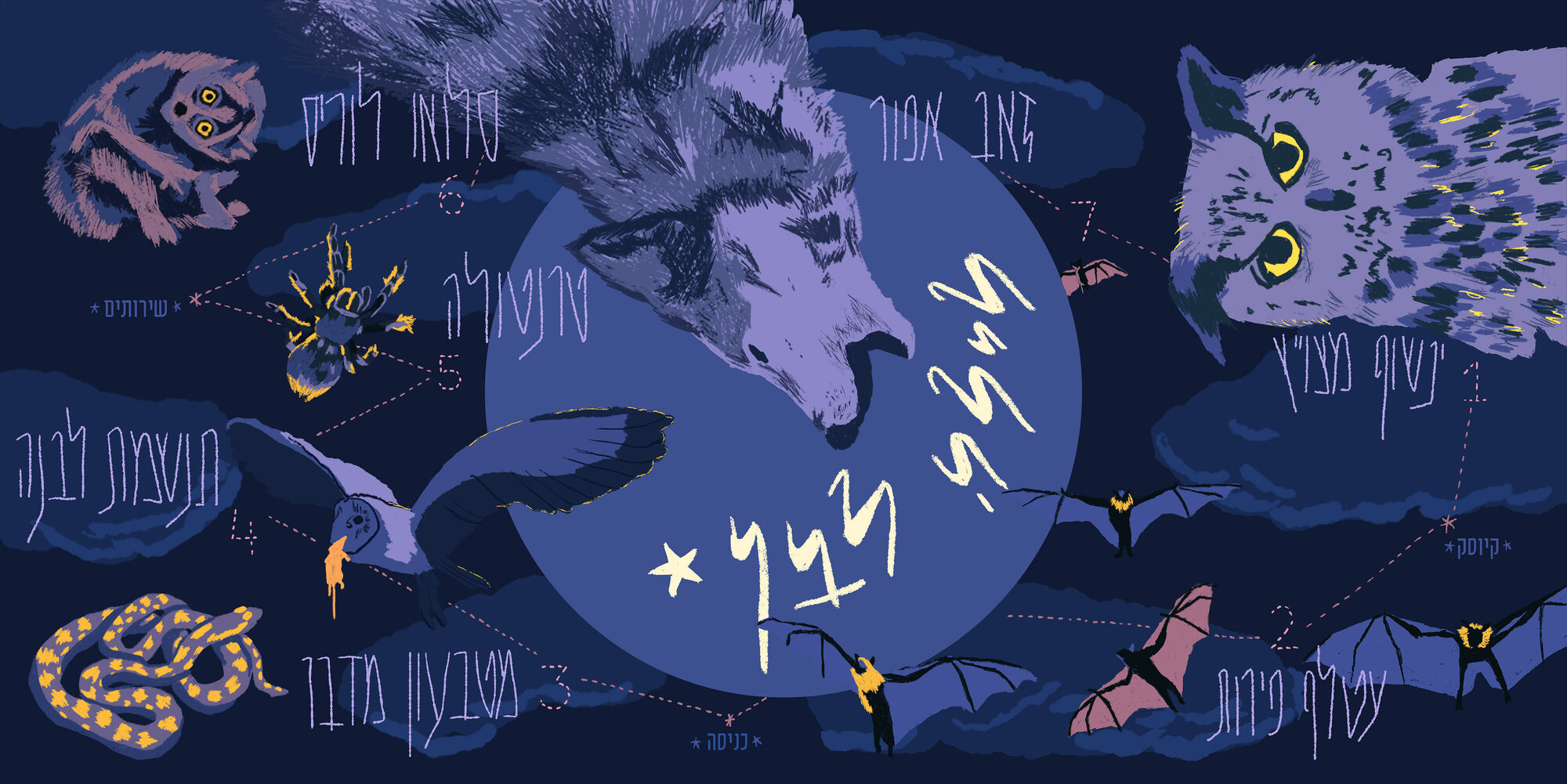 Illustrations