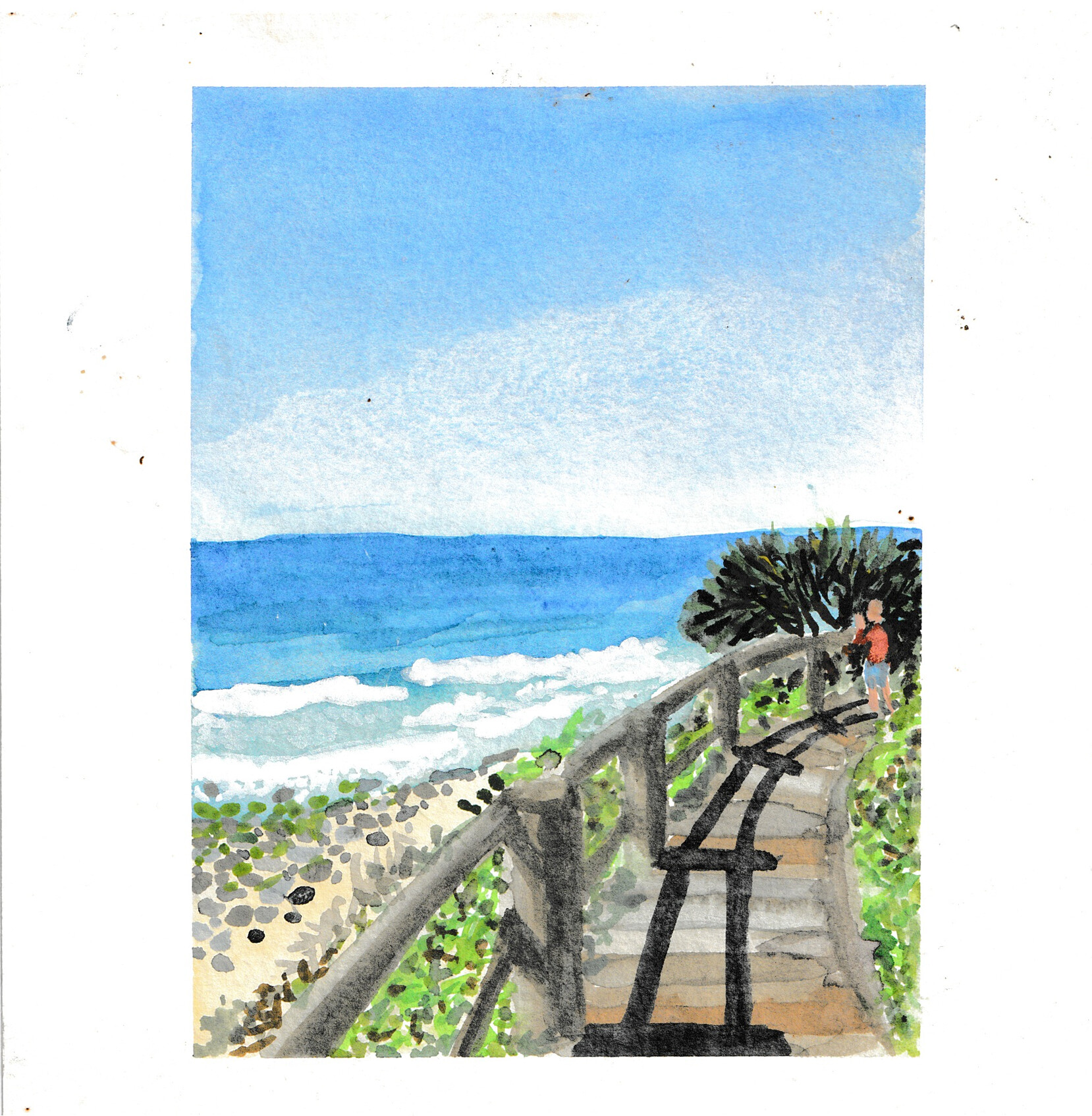 Illustrations